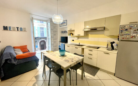 2 PIECES CENTRE VILLE