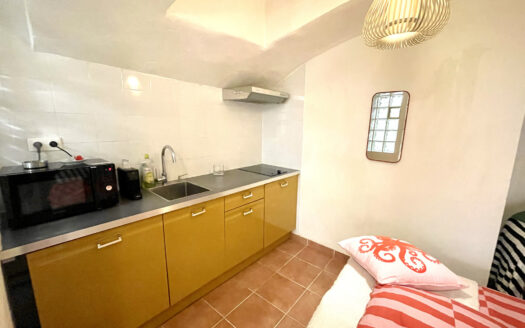 STUDIO 24 m² ROQUEBRUNE VILLAGE