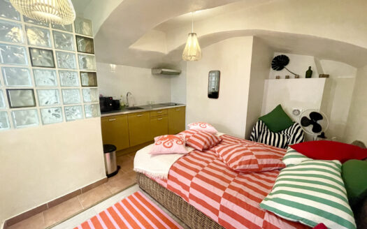 STUDIO 24 m² ROQUEBRUNE VILLAGE