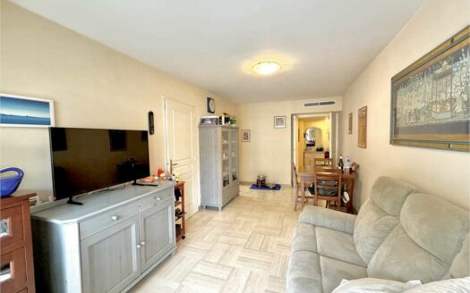 3 PIECES CENTRE VILLE AU CALME ABSOLU