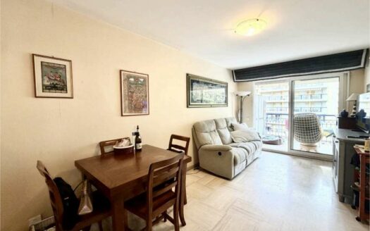 3 PIECES CENTRE VILLE AU CALME ABSOLU